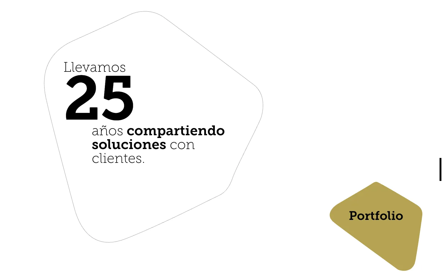 Bloque de la portada con el texto «Llevamos 25 años compartiendo soluciones con clientes» dentro de una forma dibujada a línea y el acceso al portfolio.
