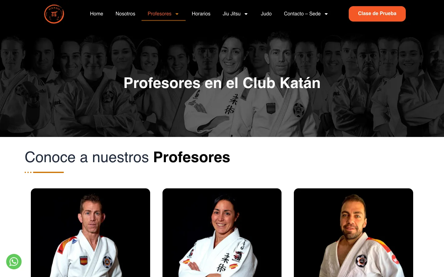 Página de profesores con fotografías.