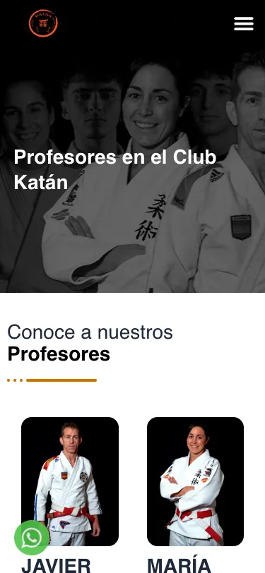 Página de profesores en un móvil.